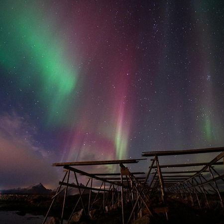 Fish Factory -The Real Lofoten Experience Ballstad Exterior foto