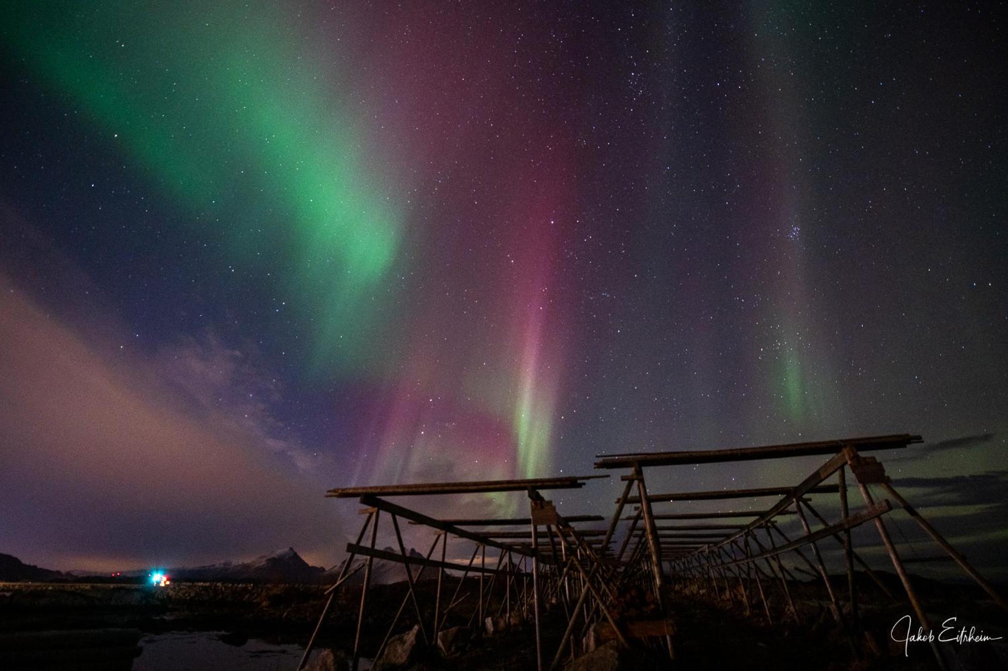 Fish Factory -The Real Lofoten Experience Ballstad Exterior foto